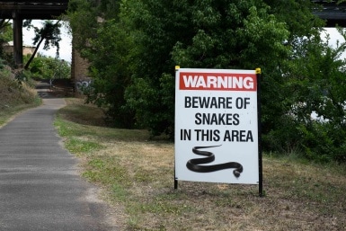 beware of snakes sign