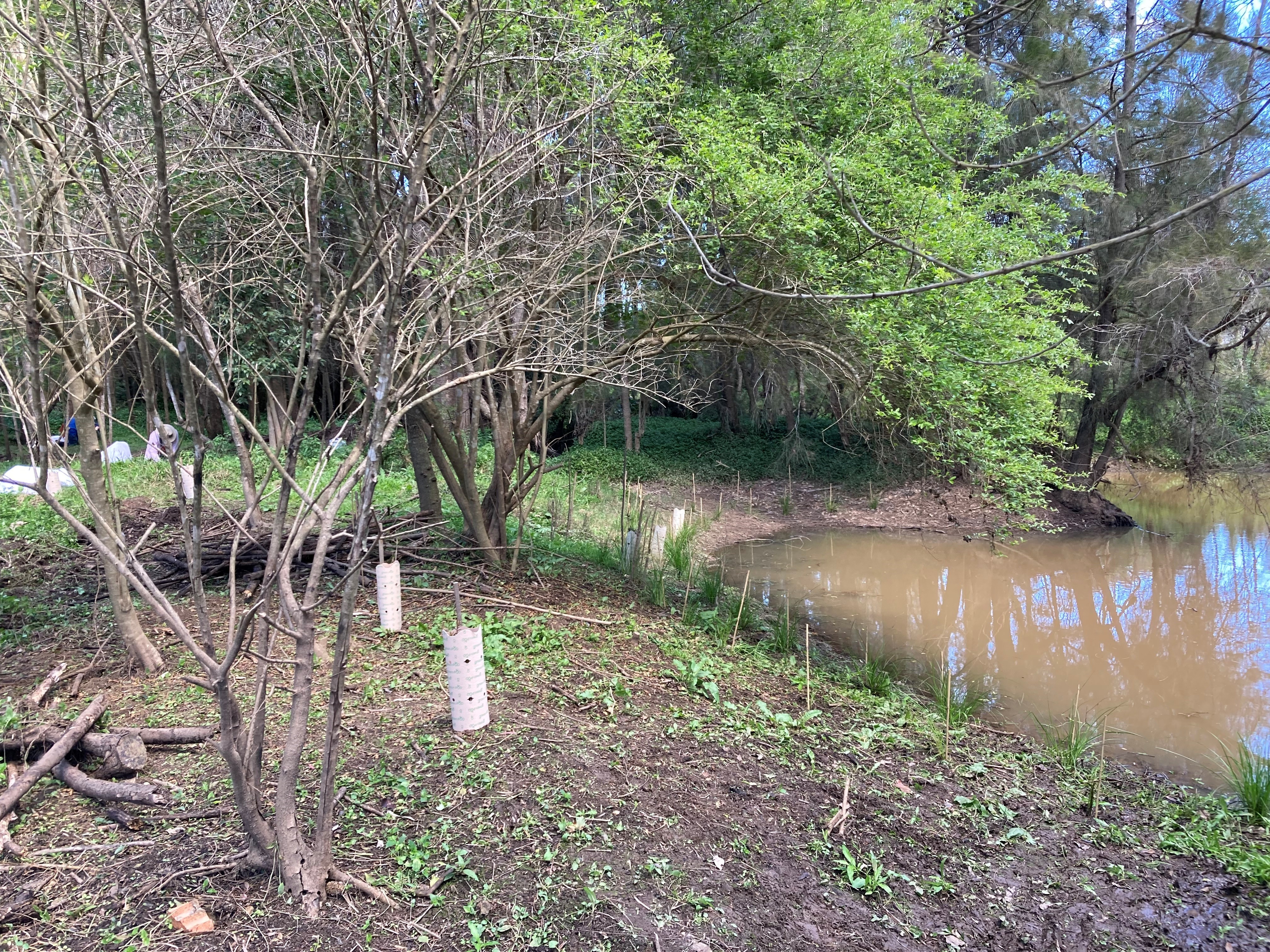 crossman reserve 1