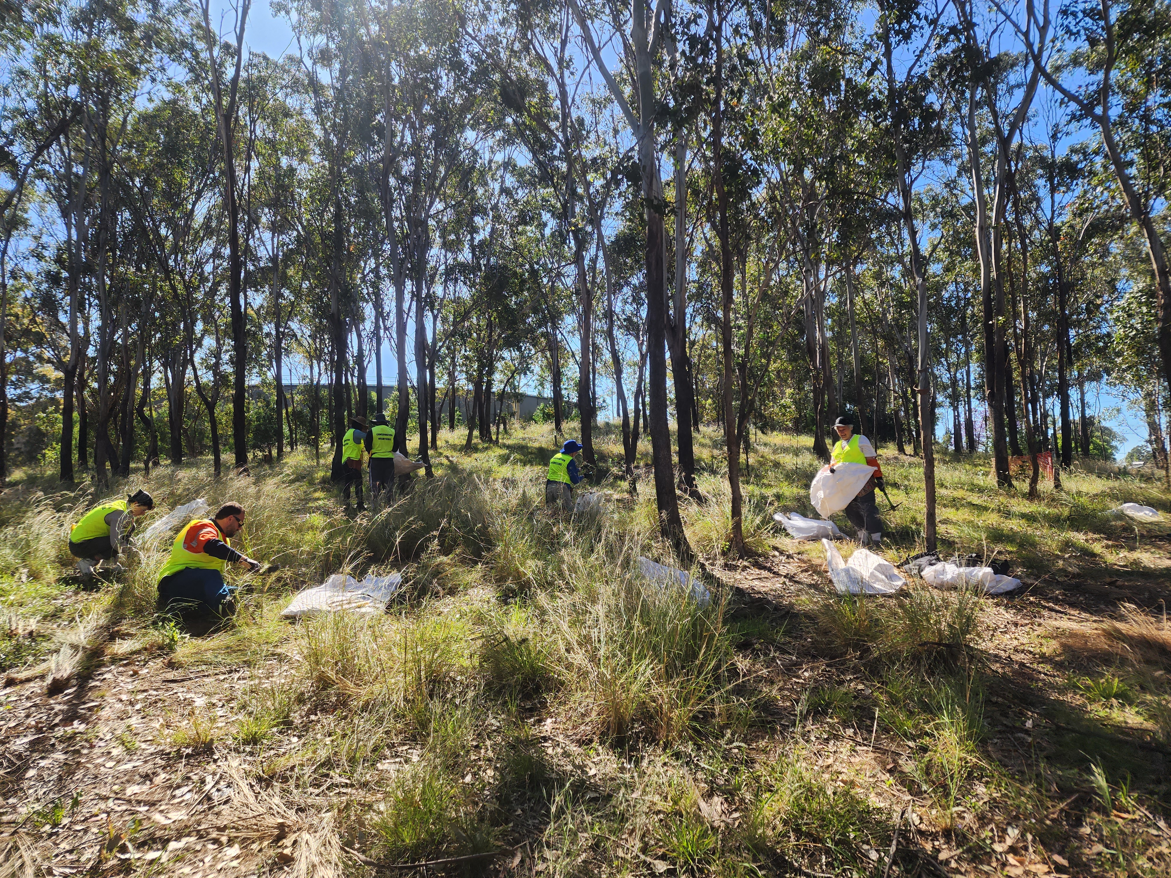 kanangra reserve 2
