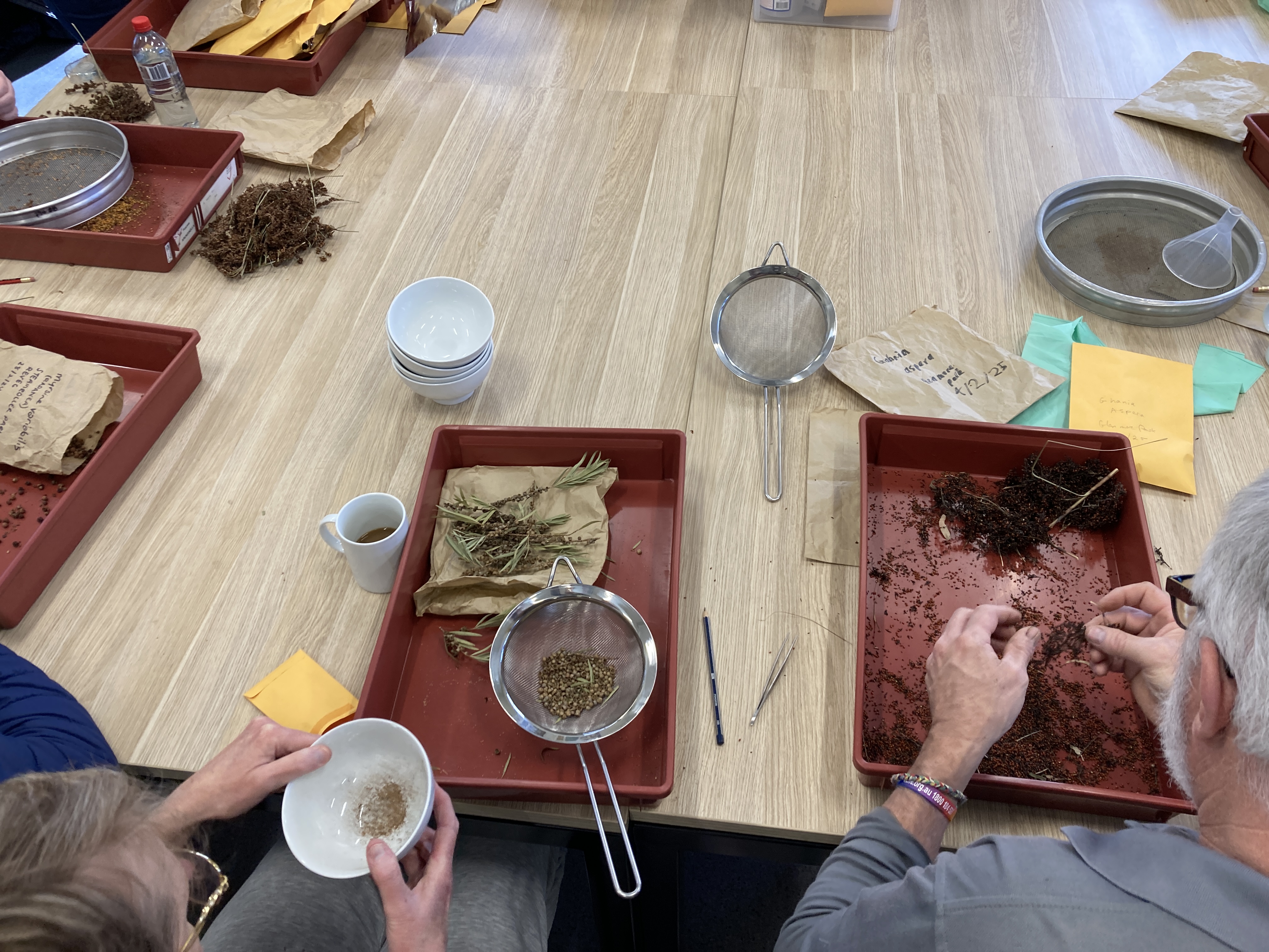 seed collection group 2