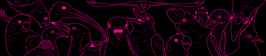 website madeline duda